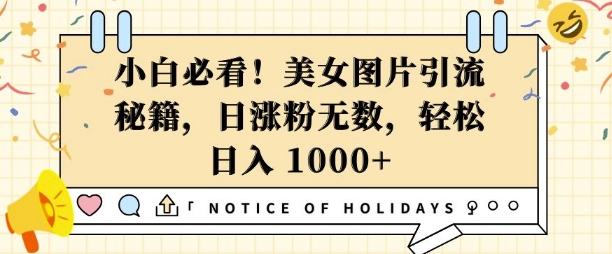 小白必看，美女图片引流秘籍，日涨粉无数，轻松日入几张【揭秘】-89网创