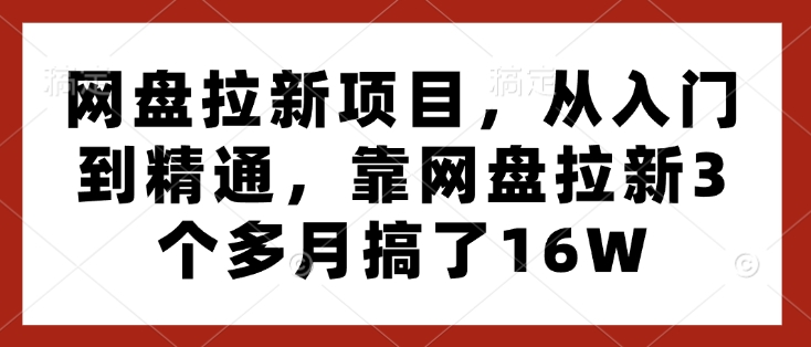网盘拉新项目，从入门到精通，靠网盘拉新3个多月搞了16W-89网创