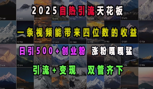 2025自热引流天花板，一条视频能带来四位数的收益，引流+变现双管齐下，日引500+创业粉，涨粉嘎嘎猛-89网创