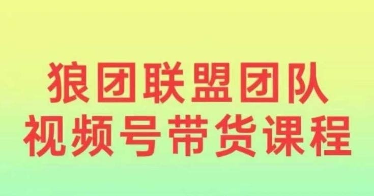 狼团联盟2024视频号带货，0基础小白快速入局视频号-89网创
