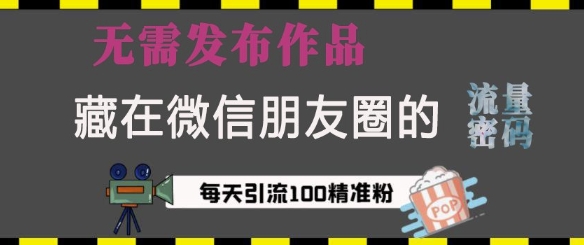 藏在微信朋友圈的流量密码，无需发布作品，单日引流100+精准创业粉【揭秘】-89网创