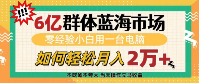 6亿群体蓝海市场，零经验小白用一台电脑，如何轻松月入过w【揭秘】-89网创