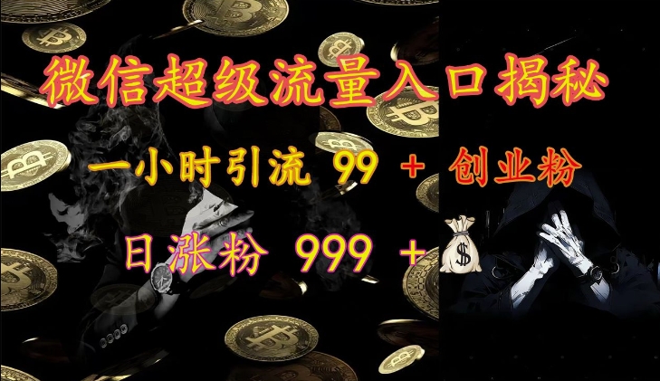 微信超级流量入口揭秘：一小时引流 99 + 创业粉，日涨粉 999 +-89网创
