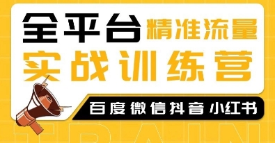 全平台精准流量实战训练营，百度微信抖音小红书SEO引流教程-89网创