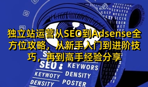 独立站运营从SEO到Adsense全方位攻略，从新手入门到进阶技巧，再到高手经验分享-89网创