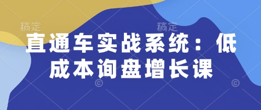直通车实战系统：低成本询盘增长课，让个人通过技能实现升职加薪，让企业低成本获客，订单源源不断-89网创