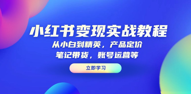 小红书变现实战教程：从小白到精英，产品定价，笔记带货，账号运营等-89网创
