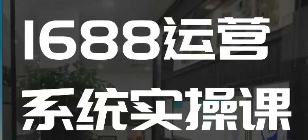 1688高阶运营系统实操课，快速掌握1688店铺运营的核心玩法-89网创