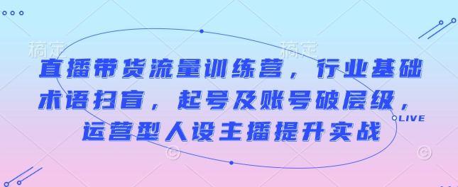直播带货流量训练营，行业基础术语扫盲，起号及账号破层级，运营型人设主播提升实战-89网创