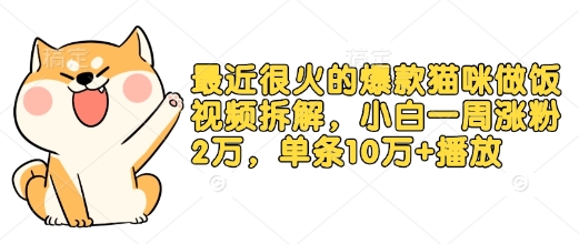 最近很火的爆款猫咪做饭视频拆解，小白一周涨粉2万，单条10万+播放(附保姆级教程)-89网创