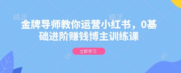 金牌导师教你运营小红书，0基础进阶赚钱博主训练课-89网创