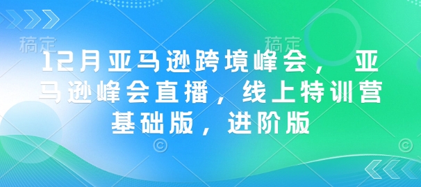 12月亚马逊跨境峰会， 亚马逊峰会直播，线上特训营基础版，进阶版-89网创