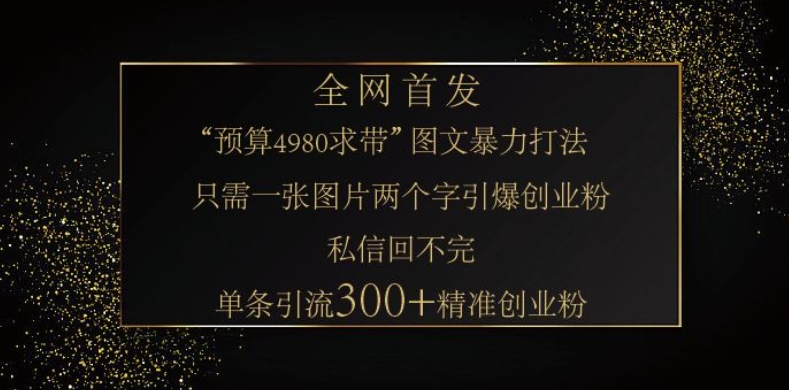 小红书神奇图片引流法，只需一张图，就能单条笔记凭借此方法，轻松引流 300 + 精准创业粉-89网创