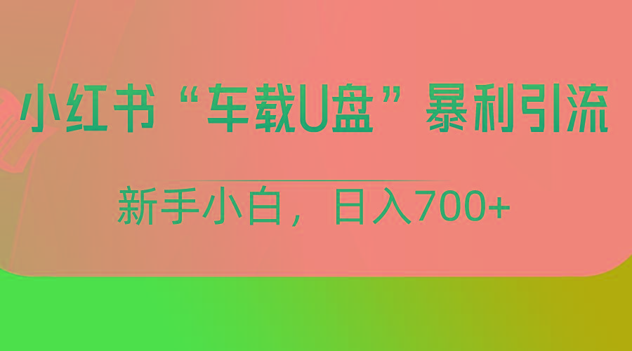 小红书“车载U盘”项目，暴利引流，新手小白轻松日入700+-89网创