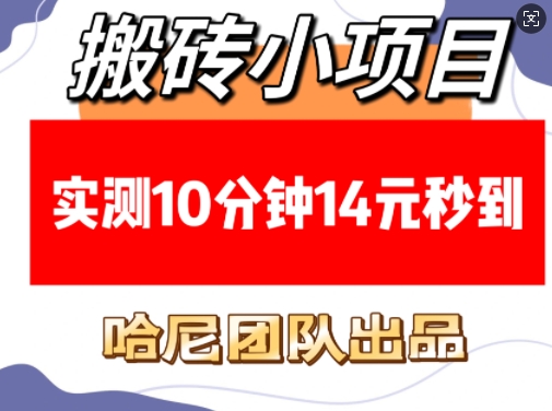 搬砖小项目，实测10分钟14元秒到，每天稳定几张(赠送必看稳定)-89网创