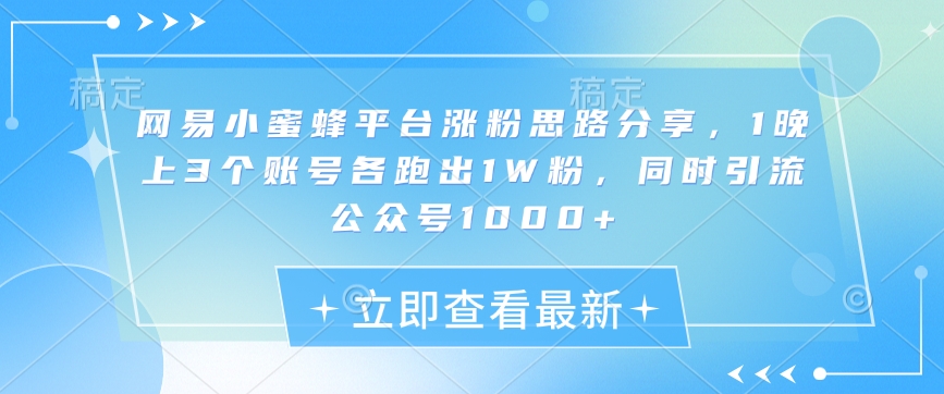 网易小蜜蜂平台涨粉思路分享，1晚上3个账号各跑出1W粉，同时引流公众号1000+-89网创