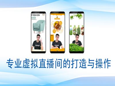 个人虚拟直播间的搭建与操作，专业虚拟直播间的打造与操作-89网创