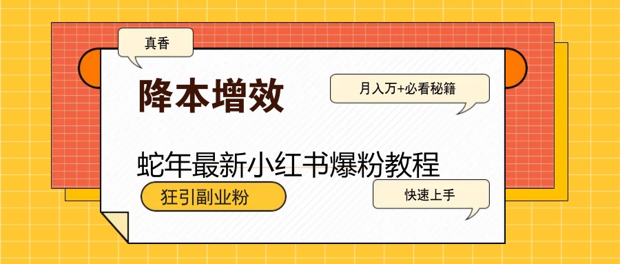 蛇年最新小红书爆粉教程，狂引副业粉，月入万+必看-89网创