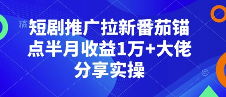 短剧推广拉新番茄锚点半月收益1万+大佬分享实操-89网创