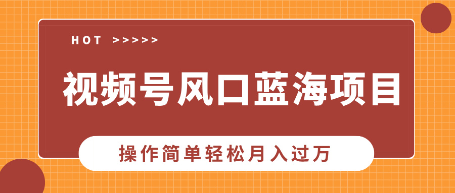 视频号风口蓝海项目，中老年人的流量密码，操作简单轻松月入过万-89网创