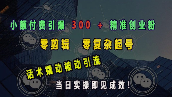 小额付费引爆 300 + 精准创业粉，零剪辑、零复杂起号，话术撬动被动引流，当日实操即见成效-89网创