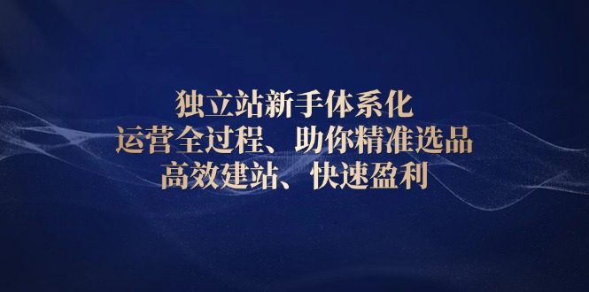 独立站新手体系化 运营全过程，助你精准选品、高效建站、快速盈利-89网创