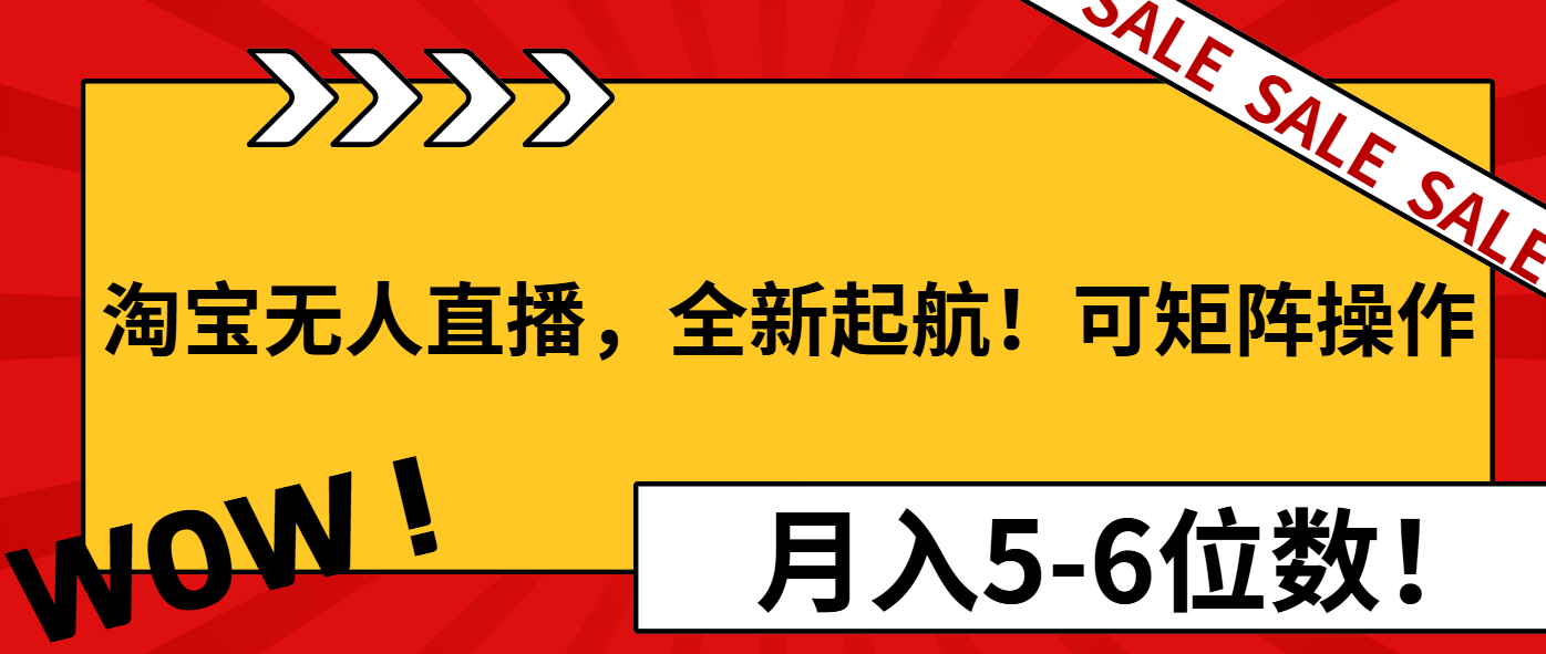 淘宝无人直播，全新起航！可矩阵操作，月入5-6位数！-89网创