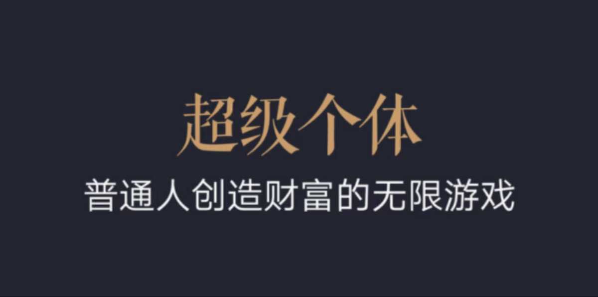 超级个体：2024-2025翻盘指南，普通人创造财富的无限游戏-89网创
