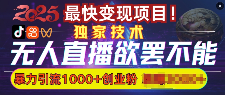 欲罢不能的无人直播引流，超暴力日引流1000+高质量精准创业粉-89网创