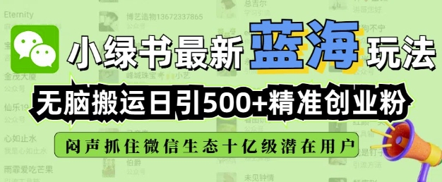 小绿书无脑搬运引流，全自动日引500精准创业粉，微信生态内又一个闷声发财的机会-89网创