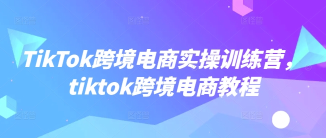 TikTok跨境电商实操训练营，tiktok跨境电商教程-89网创