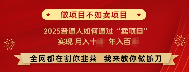 必看，做项目不如卖项目，2025普通人如何通过“卖项目”实现月入十个，年入百个-89网创