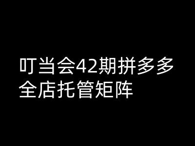 叮当会拼多多打爆班原创高阶技术第42期，拼多多全店托管矩阵-89网创