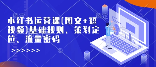 小红书运营课(图文+短视频)基础规则、策划定位、流量密码-89网创