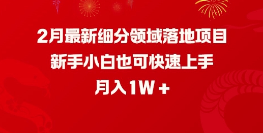 2月最新细分领域落地项目，新手小白也可快速上手，月入1W-89网创