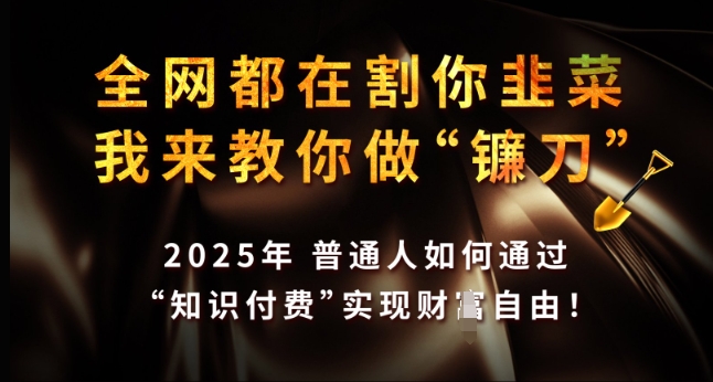 全网都在割你韭菜，我来教你做镰刀，2025年普通人如何通过 知识付费 实现财F自由【揭秘】-89网创