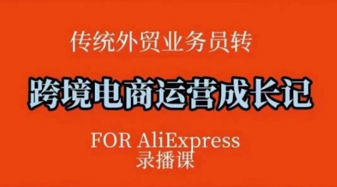 跨境电商速卖通运营课，​运营方法论+后台实操，逻辑清晰-89网创