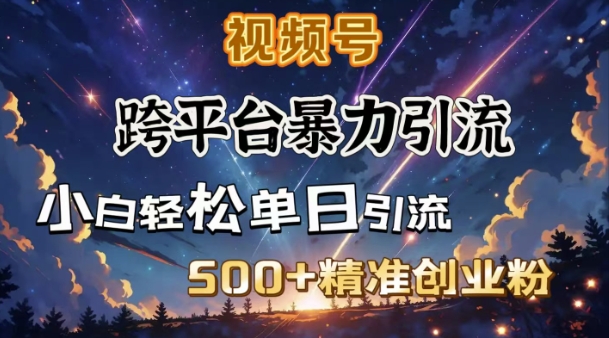 跨平台暴力引流，私域完美闭环，日引500+精准创业粉-89网创
