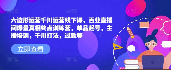六边形运营千川运营线下课，百业直播间爆量真相终点训练营，单品起号，主播培训，千川打法，过款等-89网创