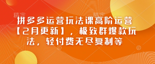拼多多运营玩法课高阶运营【2月更新】，极致群爆款玩法，轻付费无尽复制等-89网创
