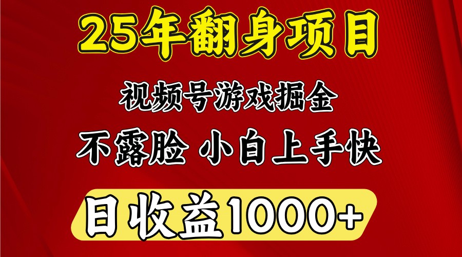 一天收益1000+ 25年开年落地好项目-89网创