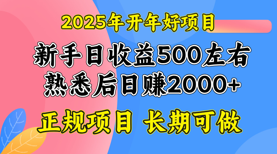 2025开年好项目，单号日收益2000左右-89网创