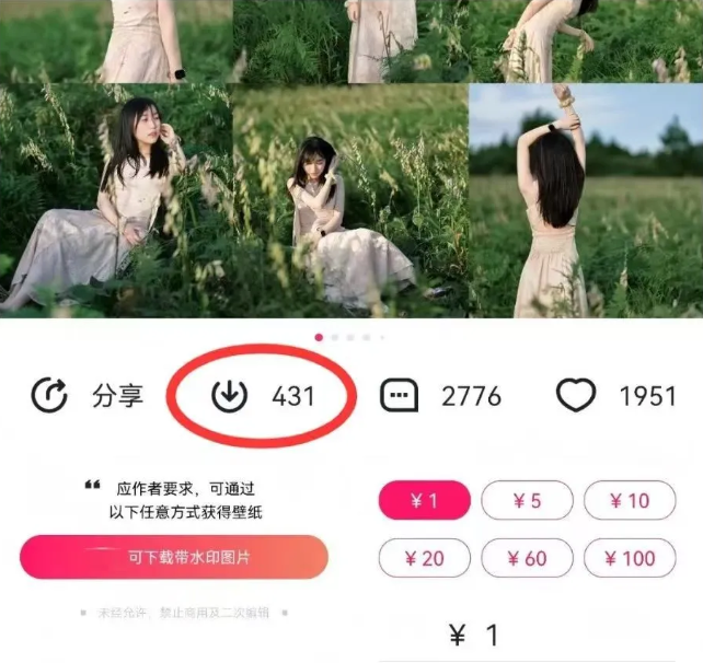 最新图虫搬运项目，收益无上限，利用AI小白也可日赚500+-89网创