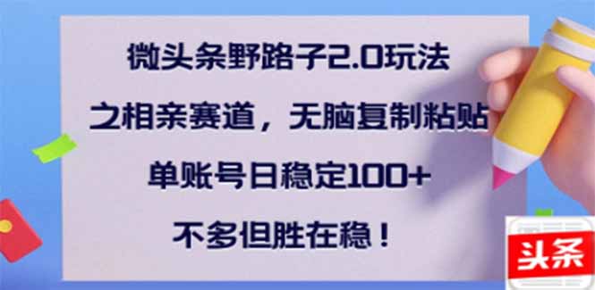 微头条野路子2.0玩法之相亲赛道，无脑搬砖复制粘贴，单账号日稳定300+…-89网创