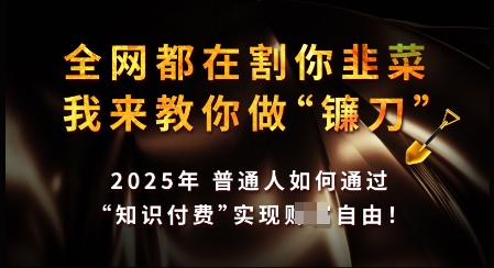 知识付费如何做到月入过W+，2025我来教你做“镰刀”【揭秘】-89网创