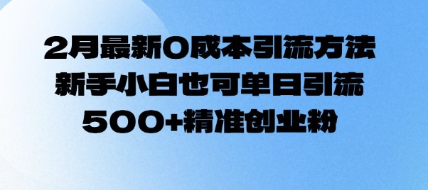 2月最新0成本引流方法，新手小白也可单日引流500+精准创业粉-89网创