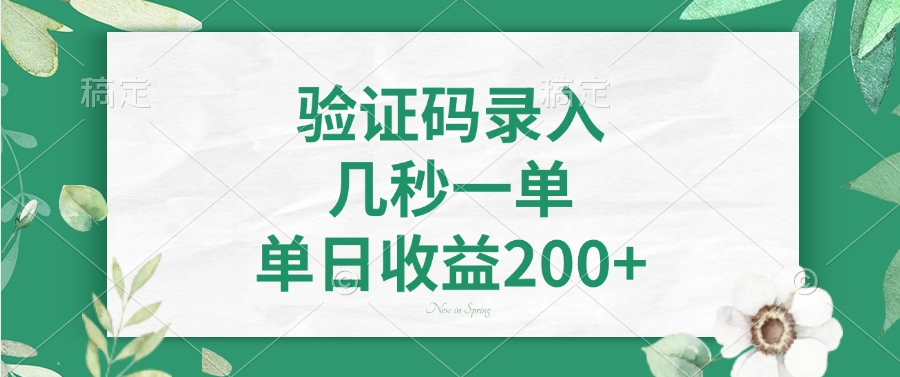 验证码录入，几秒一单，单日收益200+-89网创