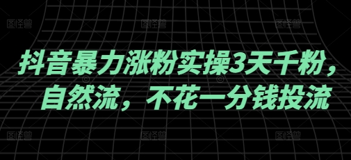 抖音暴力涨粉实操3天千粉，自然流，不花一分钱投流，实操经验分享-89网创
