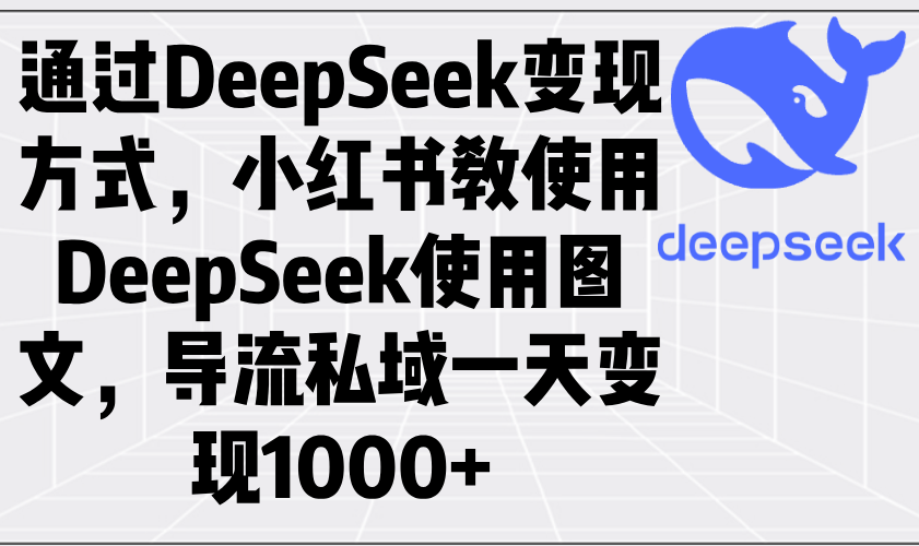 通过DeepSeek变现方式，小红书教使用DeepSeek图文，导流私域一天变现1000+-89网创