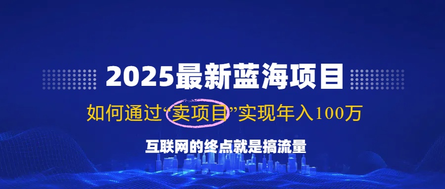 2025最新蓝海项目，零门槛轻松复制，月入10万+，新手也能操作！-89网创